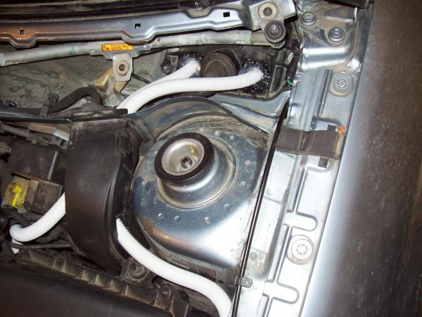 foto k příspěvku  od ivls