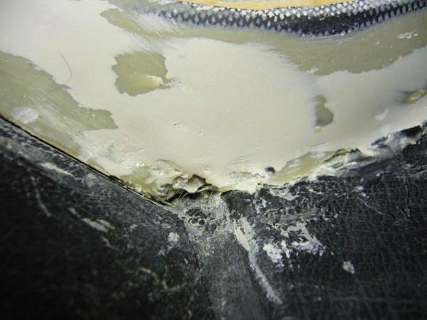 foto k příspěvku  od FBS