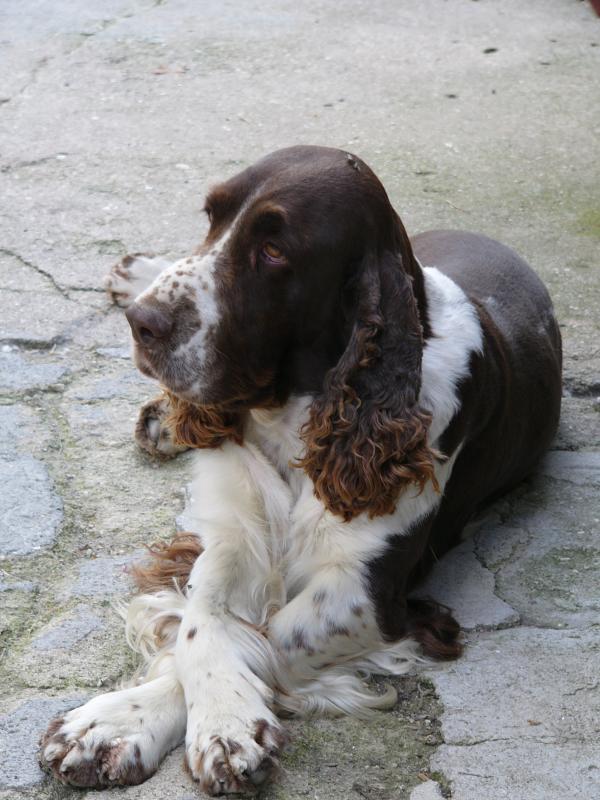 foto k příspěvku  od VlastaCB