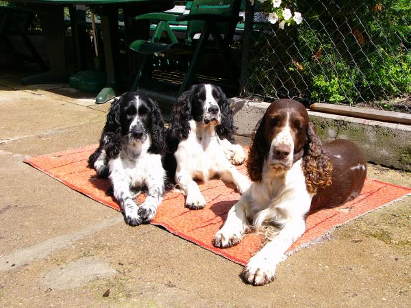 foto k příspěvku  od VlastaCB