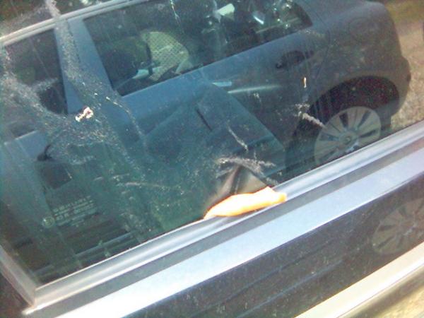 foto k příspěvku  od ACEMajky