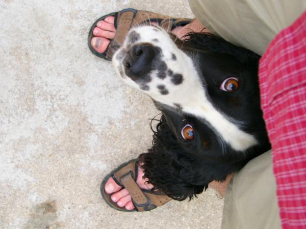 foto k příspěvku  od VlastaCB