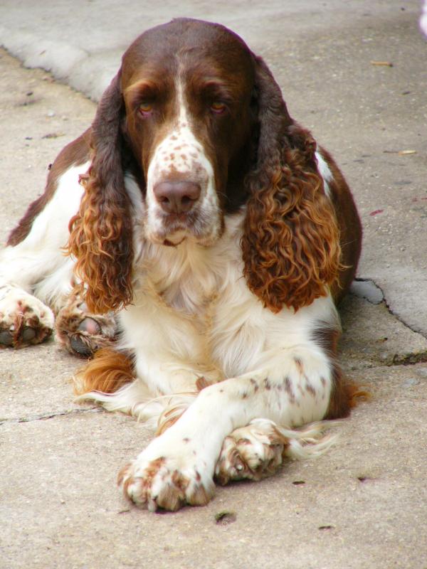 foto k příspěvku  od VlastaCB