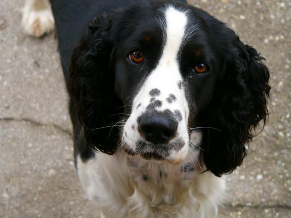 foto k příspěvku  od VlastaCB