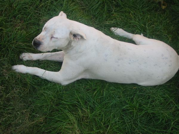 foto k příspěvku  od redbullboy