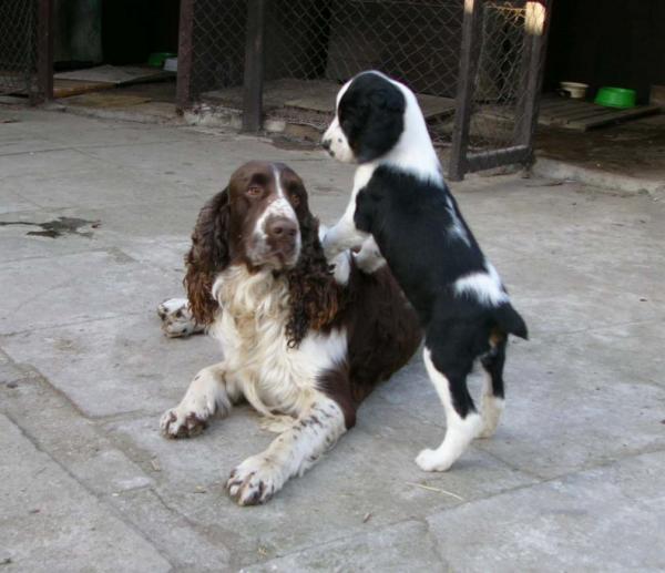 foto k příspěvku  od VlastaCB