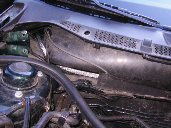 foto k příspěvku  od Fridom