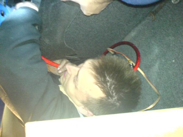 foto k příspěvku  od Mila