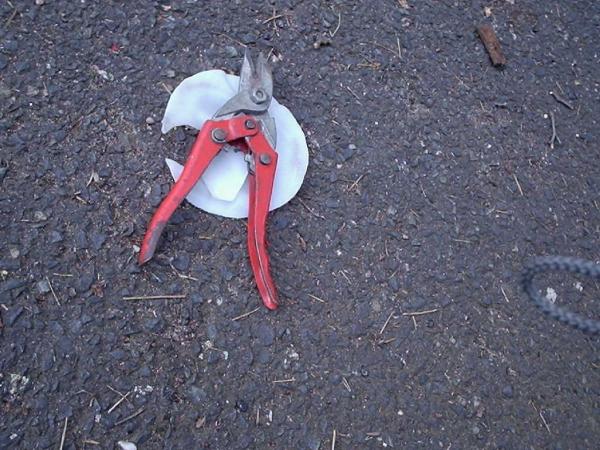 foto k příspěvku  od kuchtas