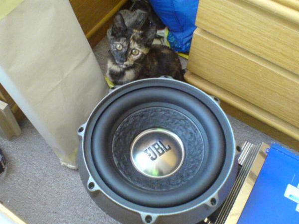 foto k příspěvku  od kizdnoH