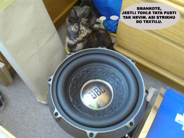 foto k příspěvku  od zdany