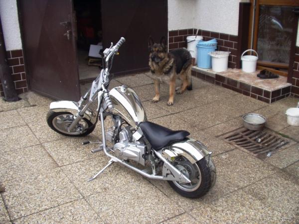 foto k příspěvku  od fredy