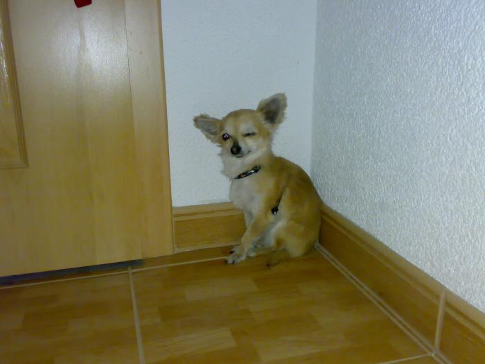 foto k příspěvku  od BekyCar