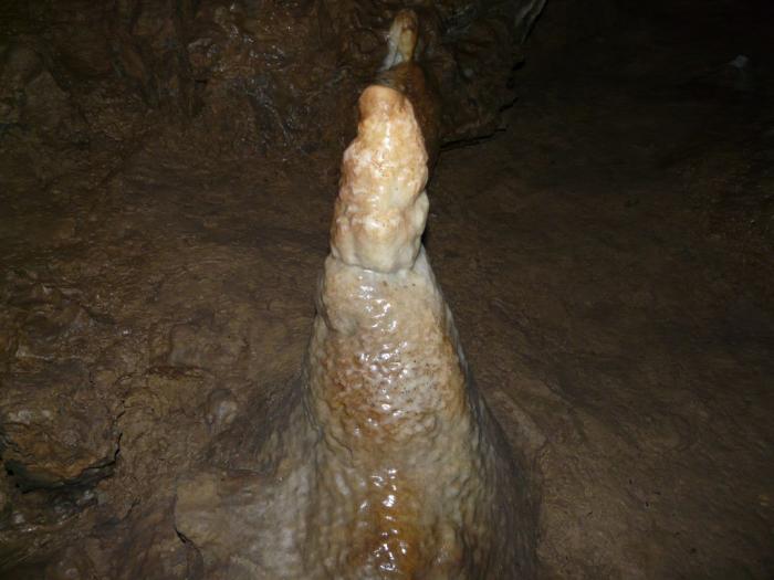 foto k příspěvku  od Ricci