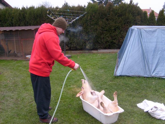 foto k příspěvku  od Kesam