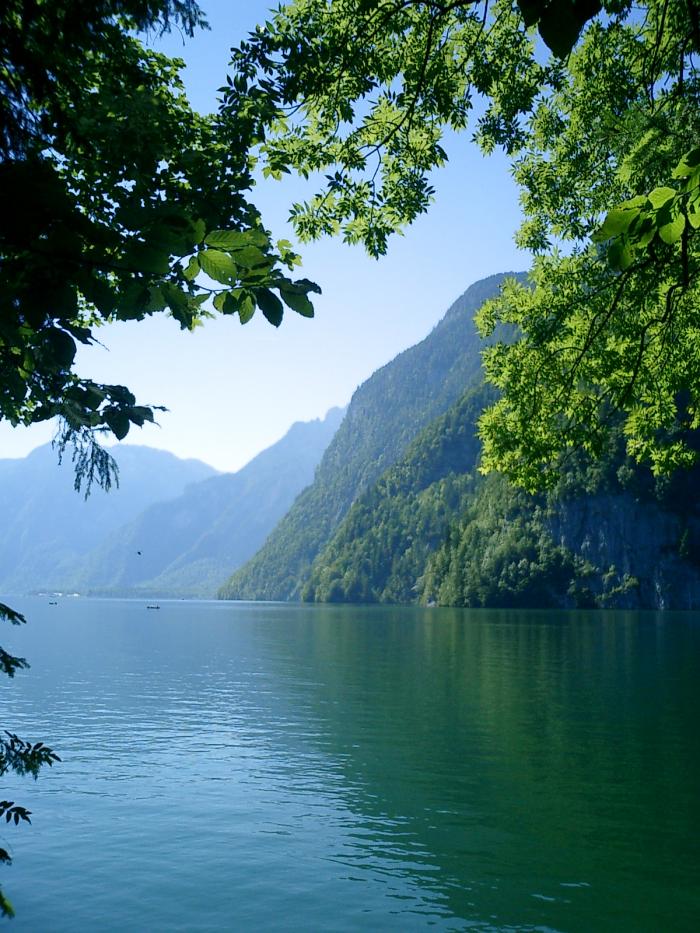 foto k příspěvku  od Crimson