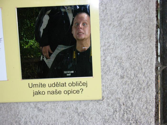 foto k příspěvku  od Smrada
