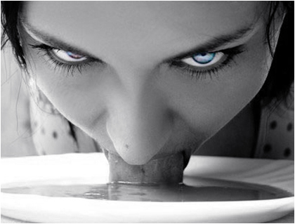 foto k příspěvku  od Veva