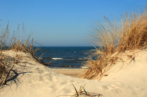 foto k příspěvku  od Crimson