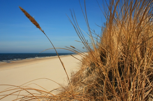 foto k příspěvku  od Crimson