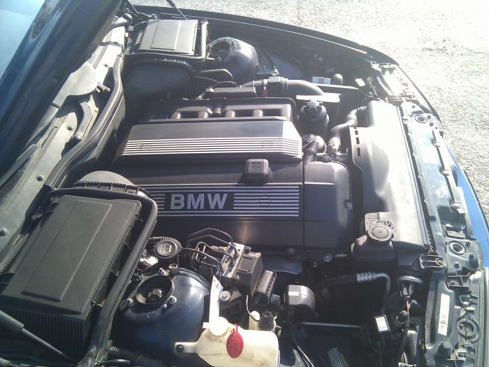 foto k příspěvku  od LastEd