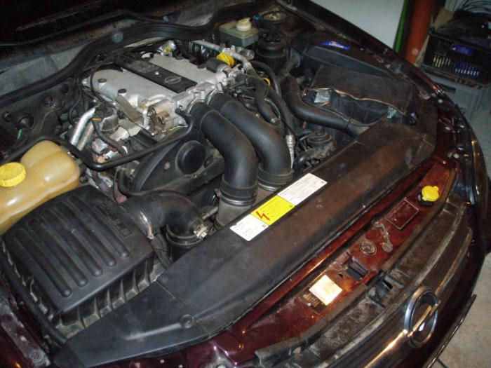 foto k příspěvku  od Arnie_one