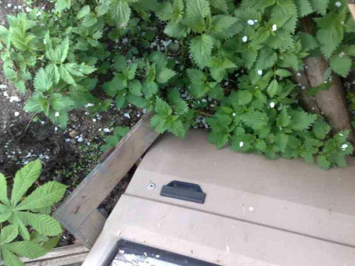 foto k příspěvku  od Flash