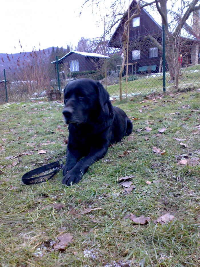 foto k příspěvku  od P3RF3KT