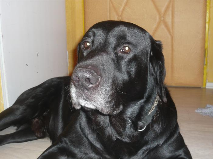 foto k příspěvku  od P3RF3KT