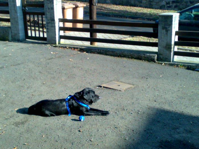 foto k příspěvku  od P3RF3KT