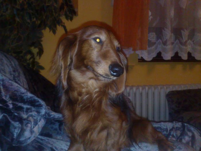 foto k příspěvku  od kordobacek