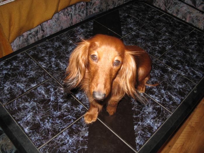 foto k příspěvku  od kordobacek