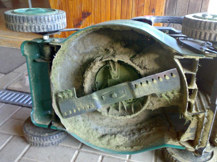 foto k příspěvku  od P3RF3KT