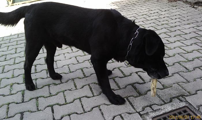 foto k příspěvku  od *konny*