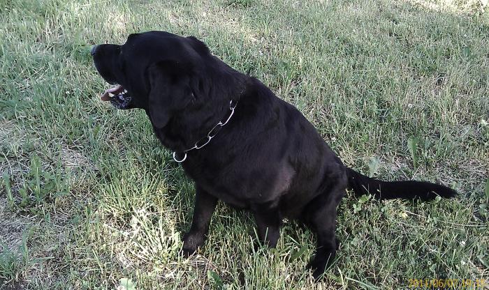 foto k příspěvku  od *konny*