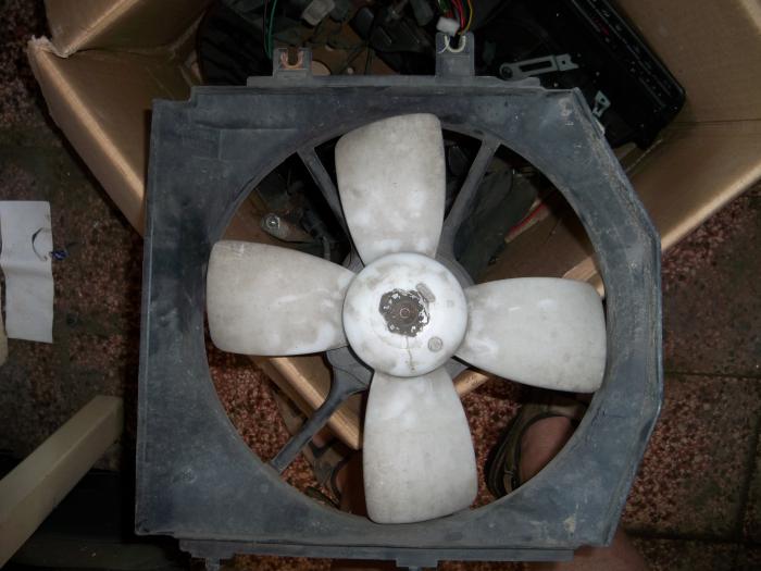 foto k příspěvku  od Lichka