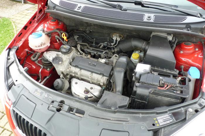 foto k příspěvku  od Losky