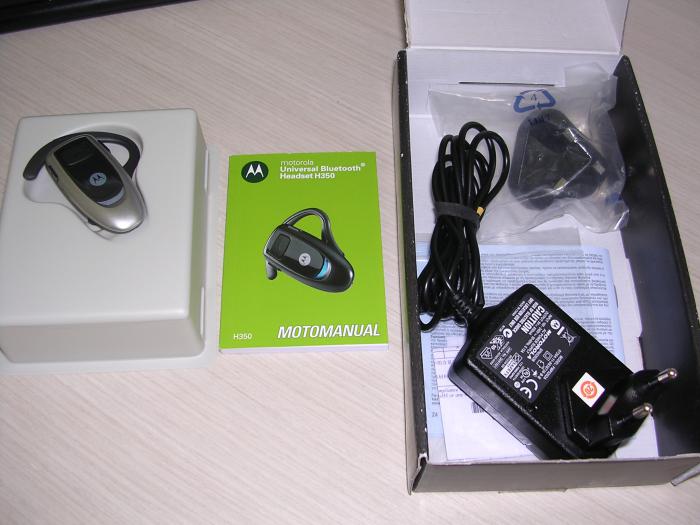 foto k příspěvku  od Kleneex