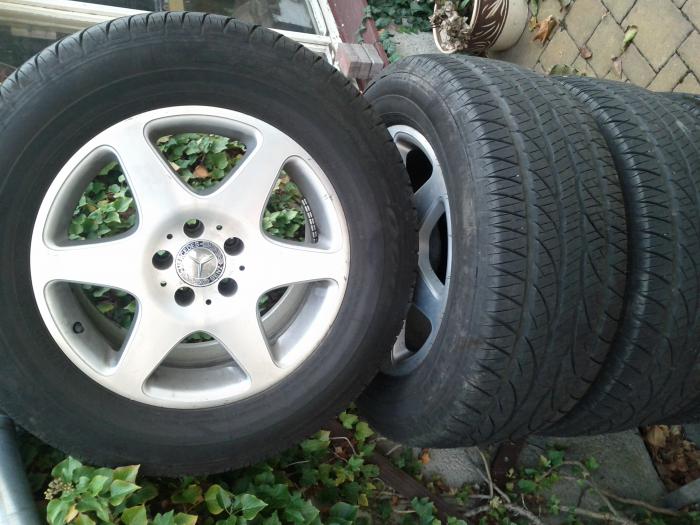 foto k příspěvku  od klasek