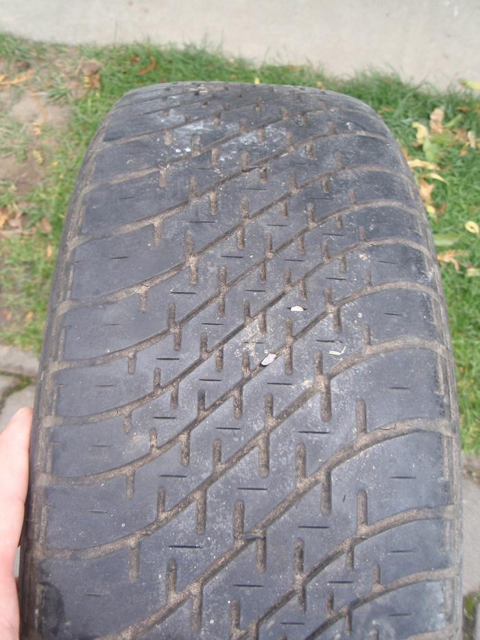 foto k příspěvku  od ronny