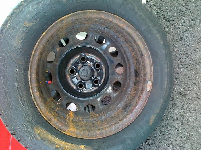 foto k příspěvku  od camron