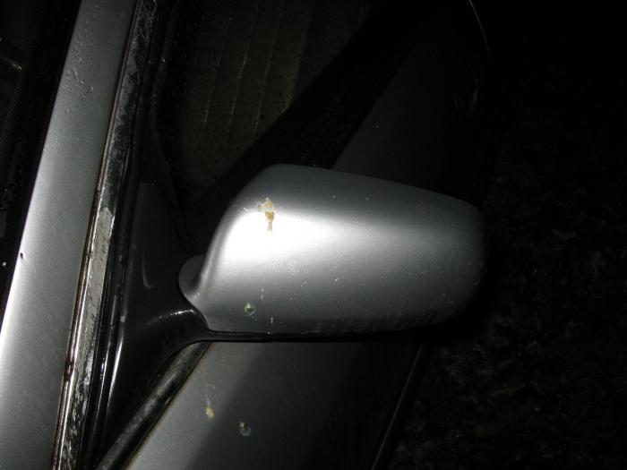 foto k příspěvku  od Jozzo