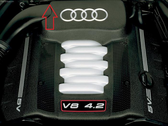 foto k příspěvku  od Lukasino