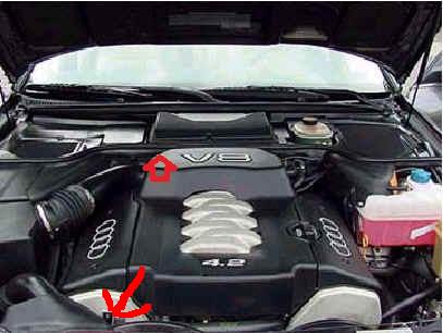 foto k příspěvku  od Jozzo