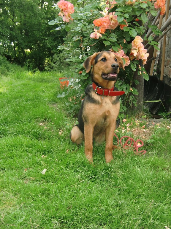 foto k příspěvku  od trueno