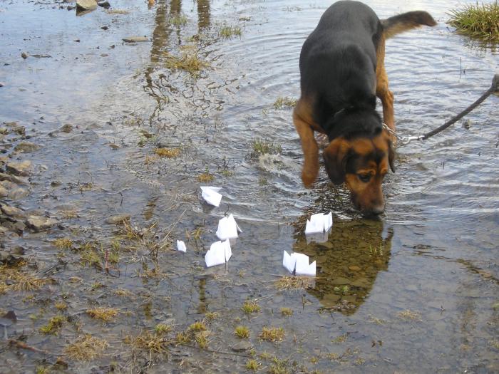 foto k příspěvku  od cezetko