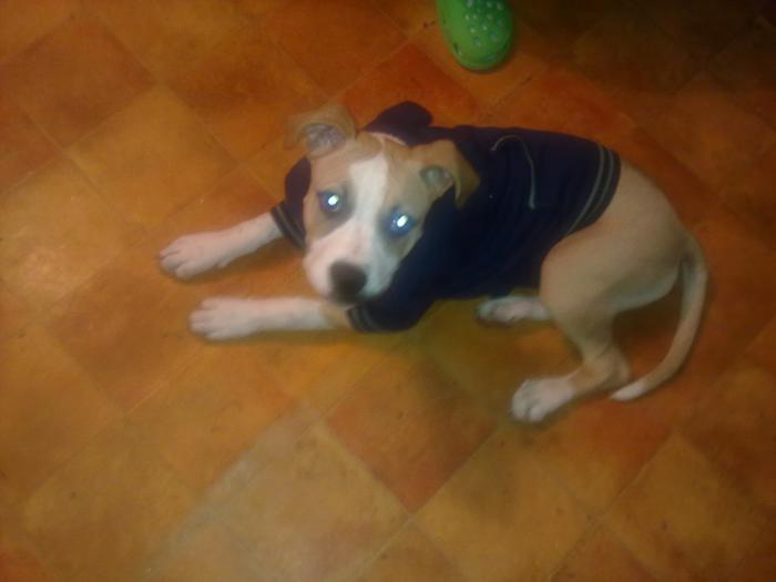 foto k příspěvku  od Midnite