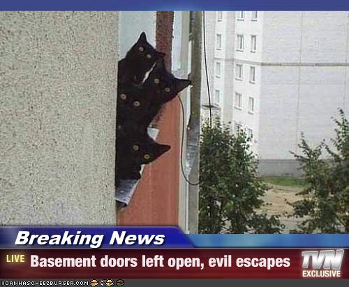 foto k příspěvku  od Link