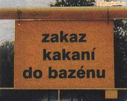 foto k příspěvku  od Link