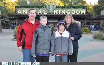 foto k příspěvku  od Kamil